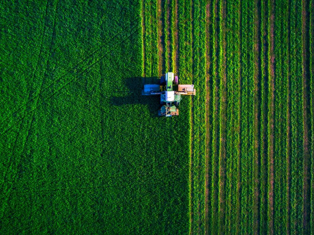 Mindesttätigkeit in der Landwirtschaft auf beihilfefähigen Flächen