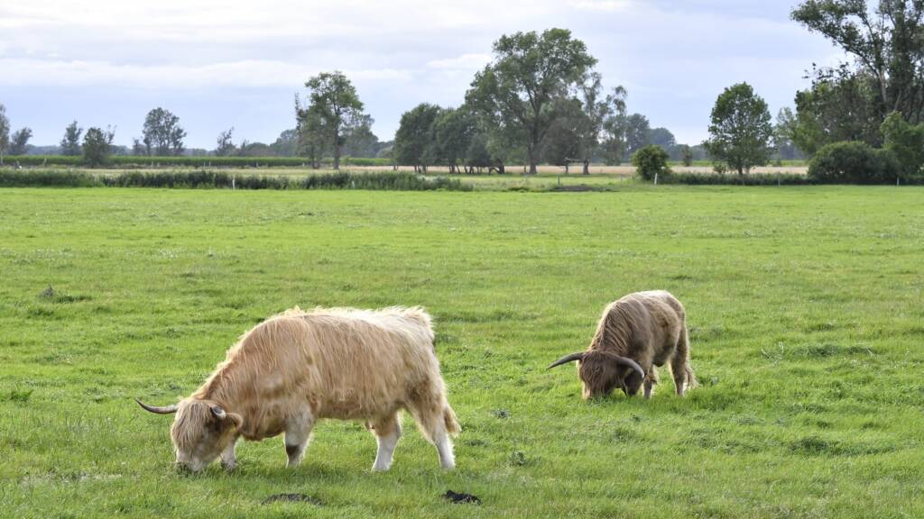 ETL Agrar Forst - Steuerberatung für Agrar & Forst