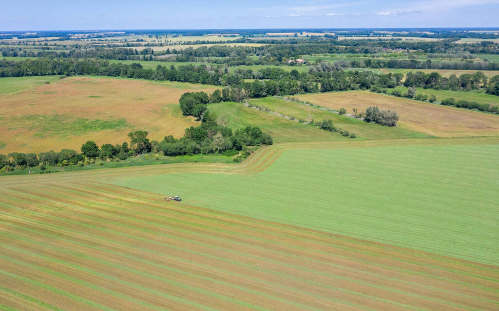 ETL Agrar Forst - Steuerberatung für Agrar & Forst