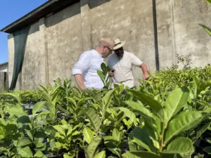 ETL Agrar Forst - Steuerberatung für Agrar & Forst