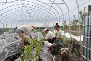 ETL Agrar Forst - Steuerberatung für Agrar & Forst
