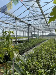 ETL Agrar Forst - Steuerberatung für Agrar & Forst ETL Agrar Forst - Steuerberatung für Agrar & Forst