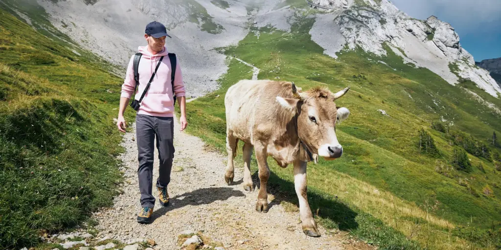 Förderung für tiergerechte Haltung jetzt abrufen