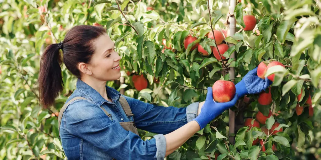 Änderung Sozialrechtlicher Vorschriften für geringfügige Beschäftigungen 